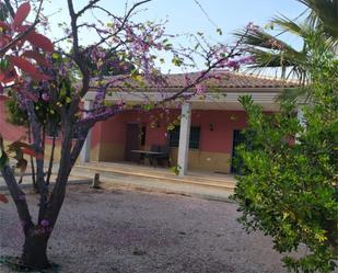 Vista exterior de Casa o xalet de lloguer en Cehegín amb Calefacció, Terrassa i Piscina
