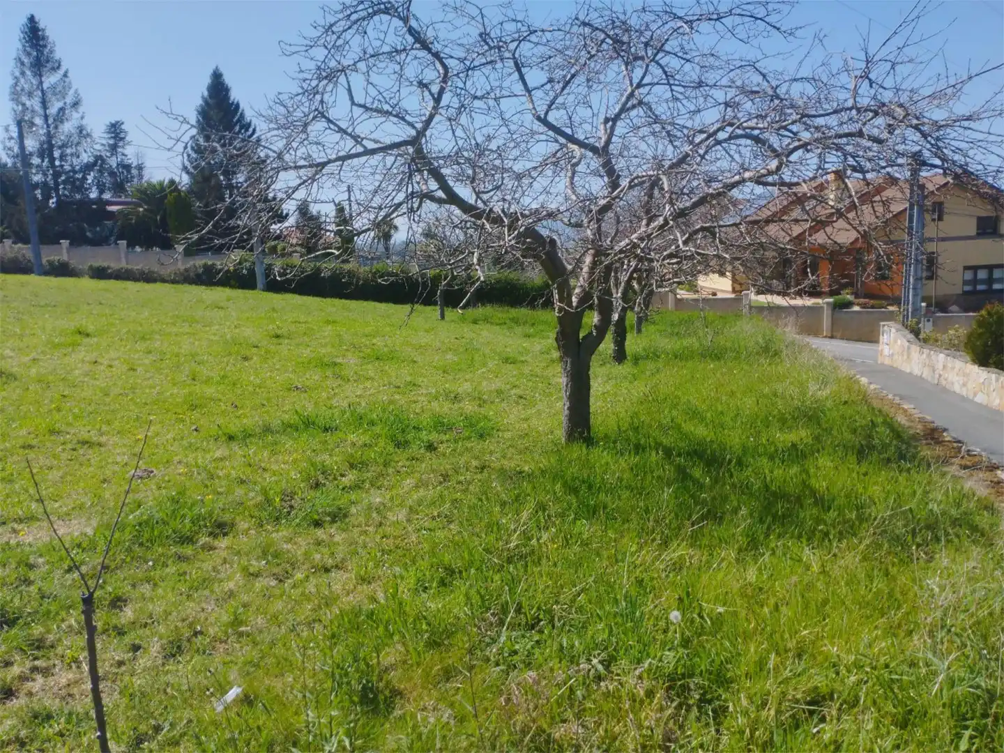 Constructible Land for sale in Plaza les Campes, 28, La Pola Siero Constructible Land for sale in Siero