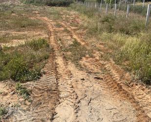 Land for sale in Espartinas