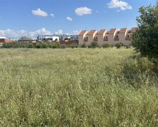 Land for sale in Espartinas