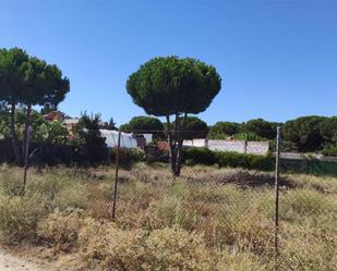 Constructible Land for sale in Villanueva de Duero