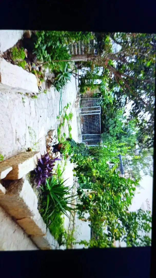 Jardí de Casa o xalet en venda en Albocàsser amb Calefacció, Jardí privat i Terrassa