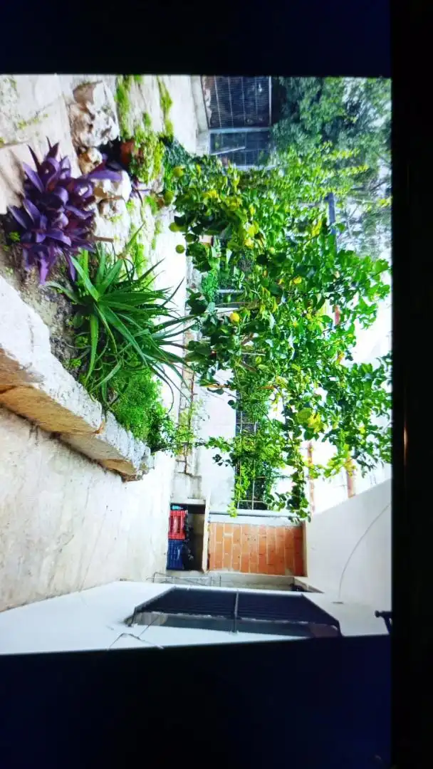 Jardí de Casa o xalet en venda en Albocàsser amb Calefacció, Jardí privat i Terrassa