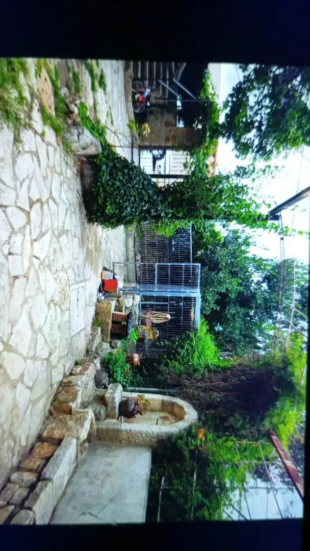 Jardí de Casa o xalet en venda en Albocàsser amb Calefacció, Jardí privat i Terrassa
