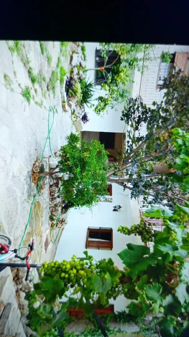 Jardí de Casa o xalet en venda en Albocàsser amb Calefacció, Jardí privat i Terrassa