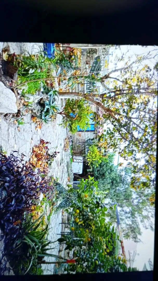 Jardí de Casa o xalet en venda en Albocàsser amb Calefacció, Jardí privat i Terrassa