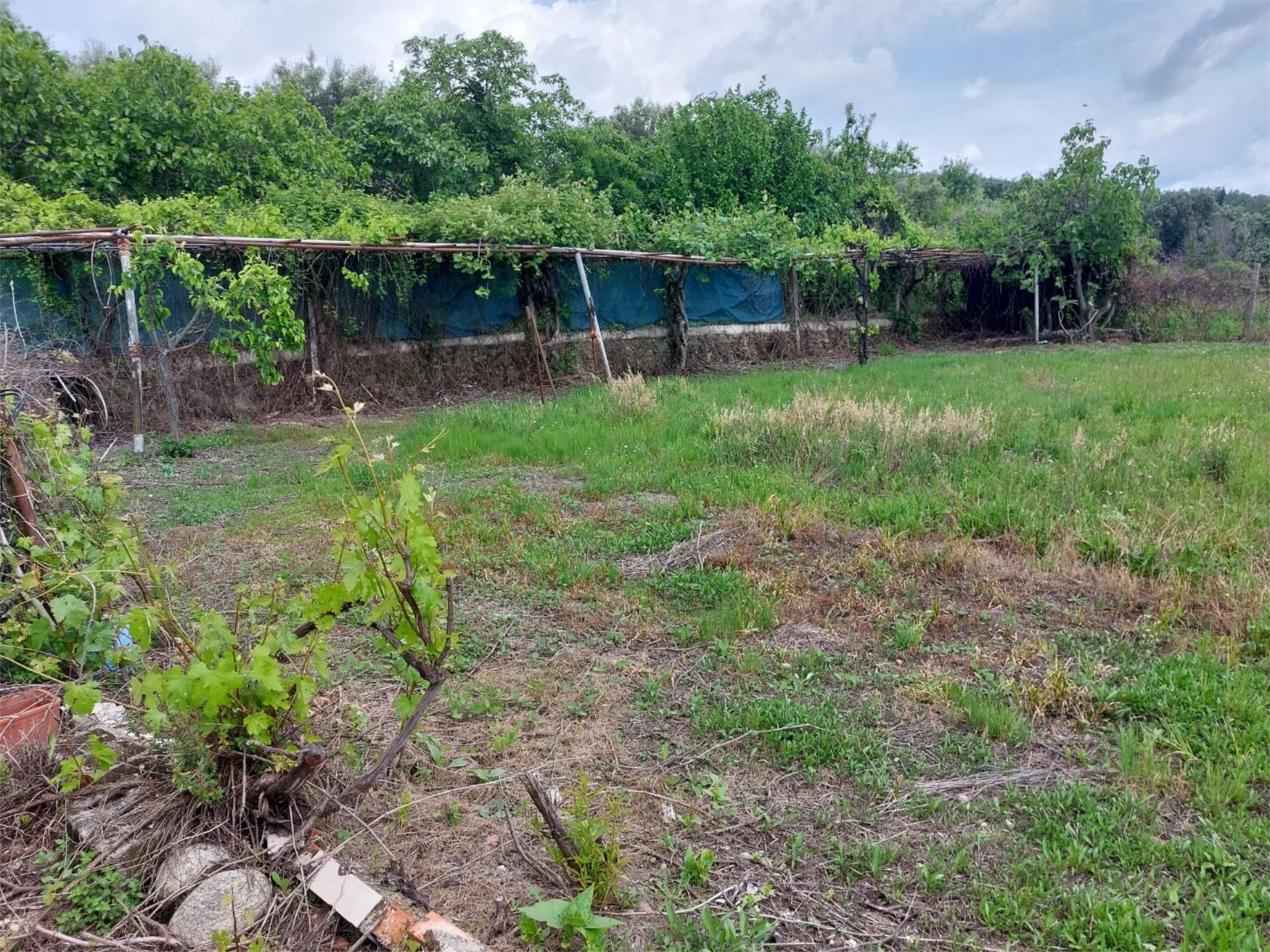 Constructible Land for sale in Jarandilla de la Vera