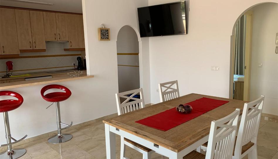 Piso de alquiler en Calle de las Palmeras S/n, .., San Roque, Cádiz - imagen 1 Foto 1 de Piso de alquiler en Calle de las Palmeras S/n, .., San Roque, Cádiz