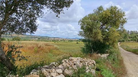 Bebaubares Gelände zum Verkauf in Carrer de Consolació, 40, Sant Joan, Illes Balears - Bild 3 Foto 3 von Bebaubares Gelände zum Verkauf in Carrer de Consolació, 40, Sant Joan, Illes Balears