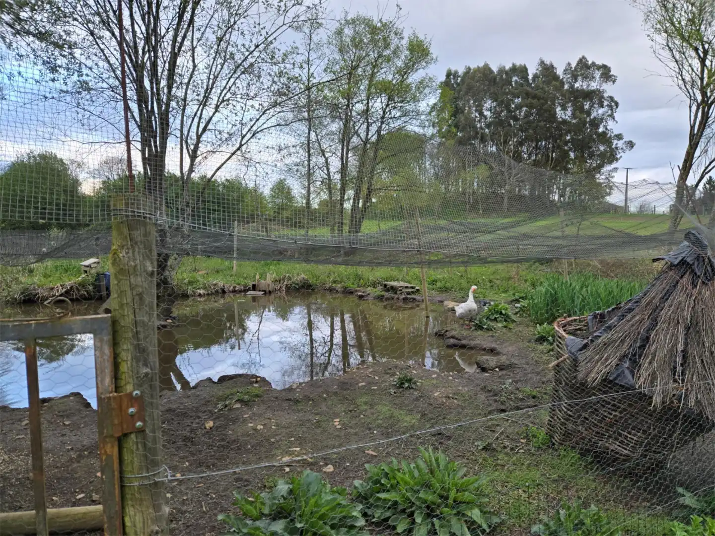 Land for sale in Lugar Rañado, 6, Melide Garden of Land for sale in Melide