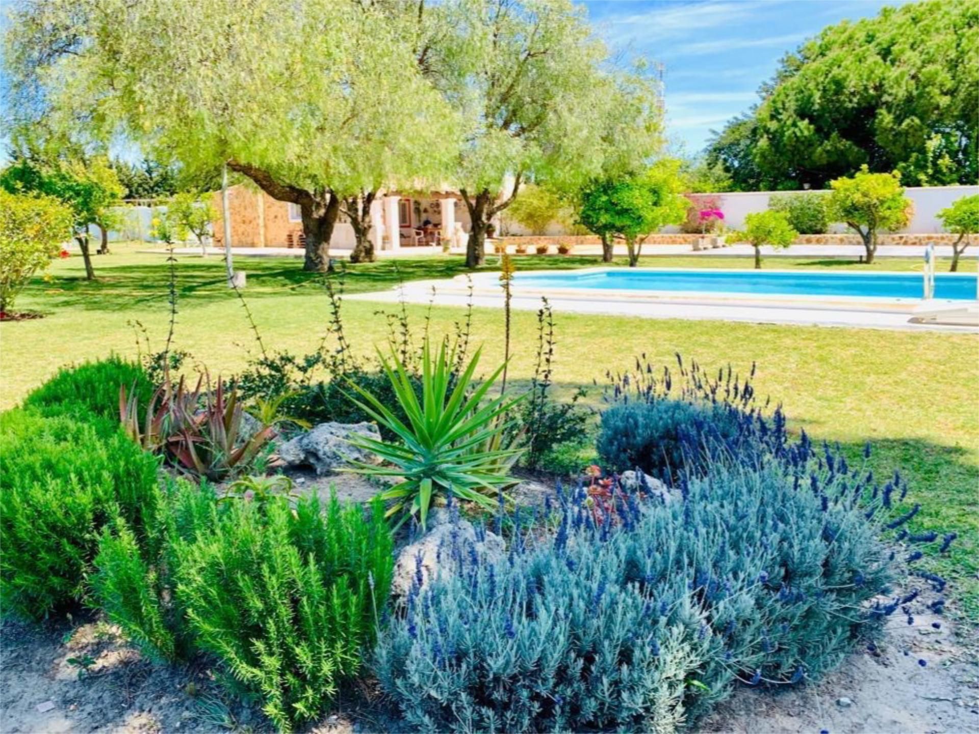 House or chalet to rent in Camino de Torre Alta, 30, El Almedral