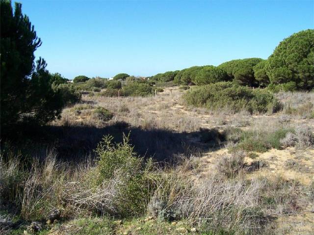 Terreno urbanizable en Venta en A-2233, 9 en Los Caños de Meca