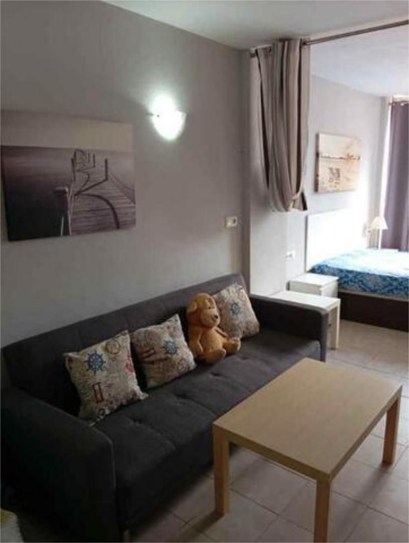 Sala d'estar de Estudi de lloguer en Calvià amb Jardí privat i Moblat