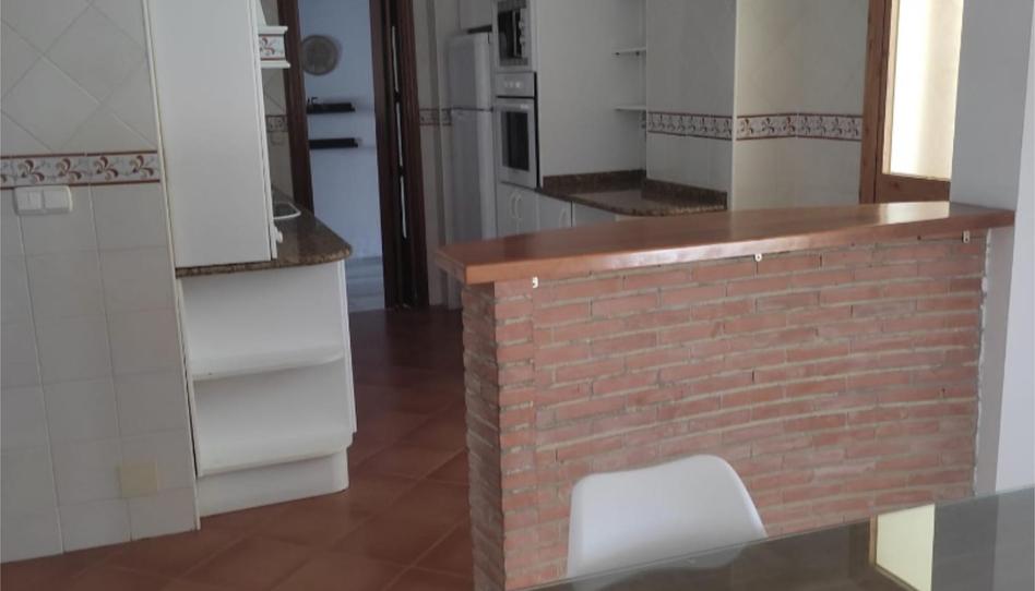 Flat to rent in Calle Mauricio Moro Pareto, 7, La Unión - Cruz de Humilladero - Los Tilos, Málaga - image 1 Photo 1 of Flat to rent in Calle Mauricio Moro Pareto, 7, La Unión - Cruz de Humilladero - Los Tilos, Málaga