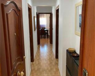 Flat to rent in  Ceuta Capital
