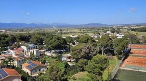 Apartment for sale in Les Maravelles, Illes Balears - image 2 Photo 2 of Apartment for sale in Les Maravelles, Illes Balears