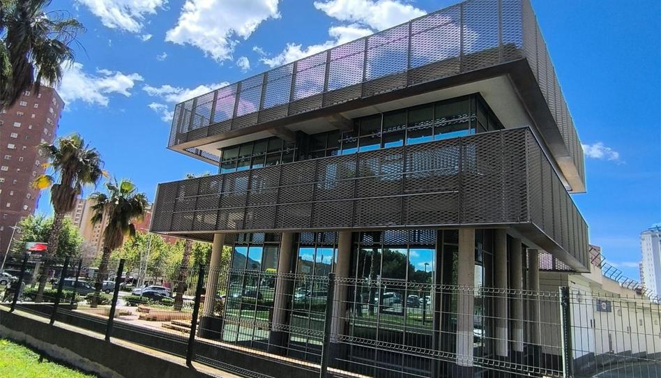Oficina de alquiler en Avinguda de la Comunitat Valenciana, 7, Juzgados - Plaza de Toros, Alicante - imagen 1 Foto 1 de Oficina de alquiler en Avinguda de la Comunitat Valenciana, 7, Juzgados - Plaza de Toros, Alicante