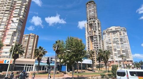Oficina de alquiler en Avinguda de la Comunitat Valenciana, 7, Juzgados - Plaza de Toros, Alicante - imagen 4 Foto 4 de Oficina de alquiler en Avinguda de la Comunitat Valenciana, 7, Juzgados - Plaza de Toros, Alicante