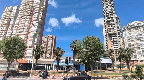 Oficina de alquiler en Avinguda de la Comunitat Valenciana, 7, Juzgados - Plaza de Toros, Alicante - imagen 5 Foto 5 de Oficina de alquiler en Avinguda de la Comunitat Valenciana, 7, Juzgados - Plaza de Toros, Alicante
