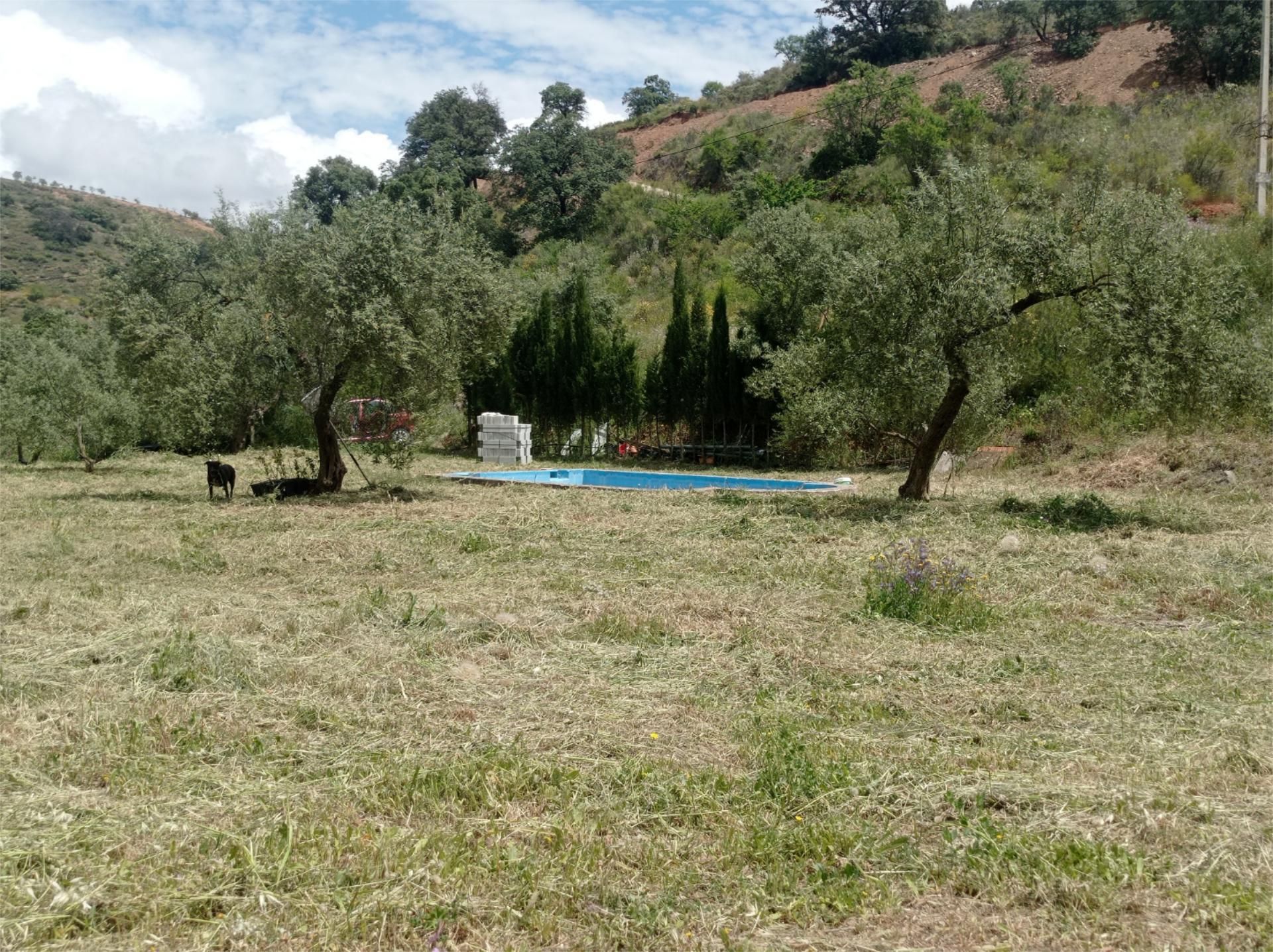 Garden of Country house for sale in Colmenar