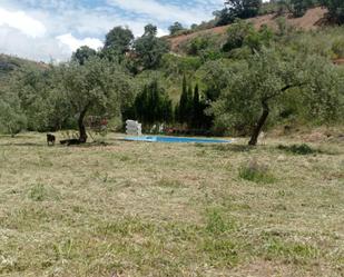 Garden of Country house for sale in Colmenar