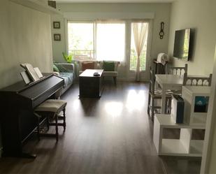 Sala d'estar de Pis de lloguer en Manzanares El Real amb Calefacció, Jardí privat i Parquet