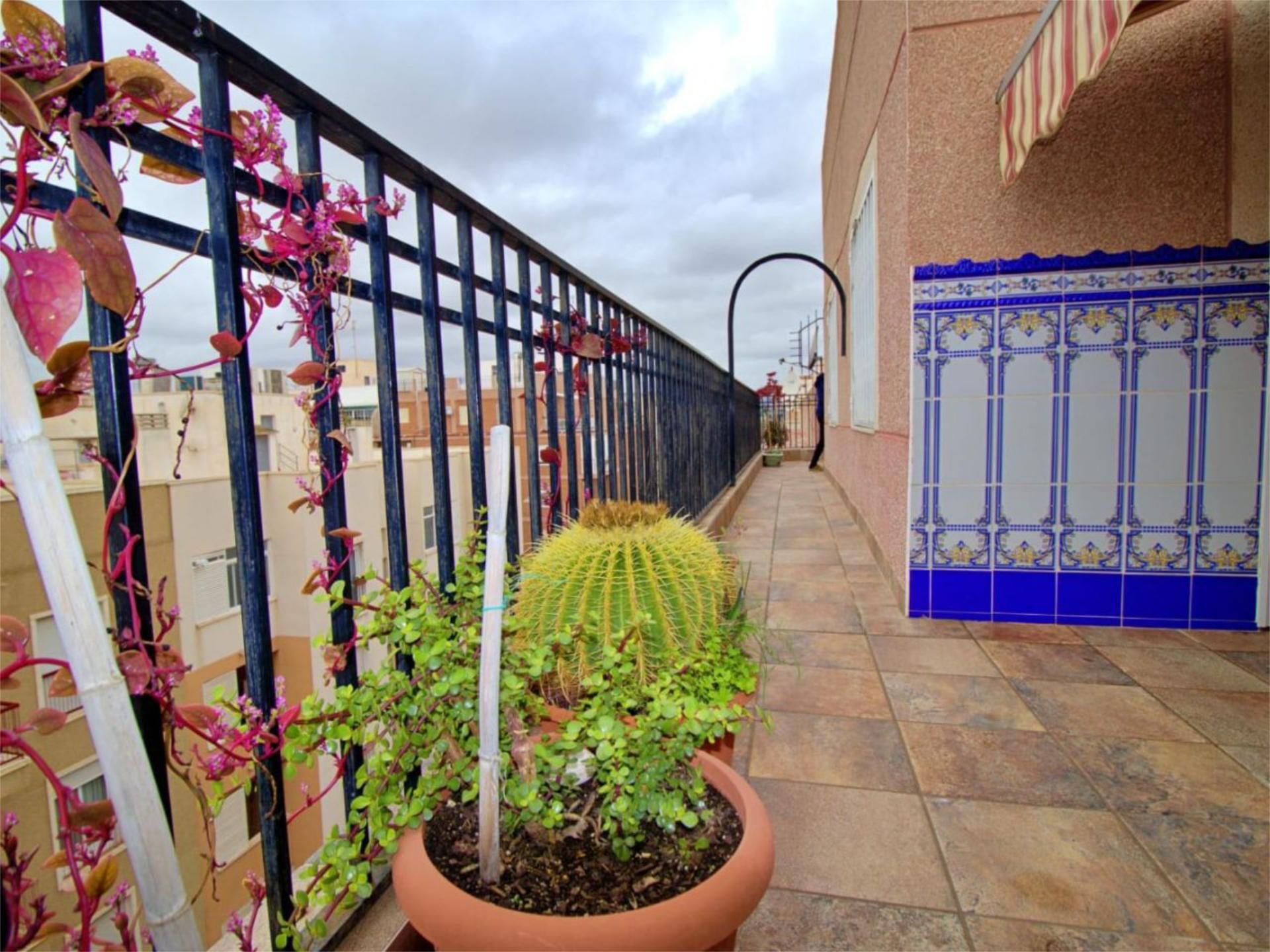 Terrace of Flat to share in Elche / Elx  with Heating, Terrace and Furnished