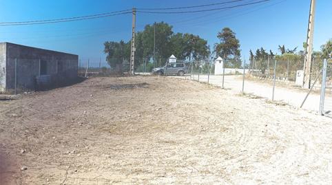 Constructible Land for sale in Lugar la Negra, 42, Cuatro Pinos - El Carmen, Cádiz - image 3 Photo 3 of Constructible Land for sale in Lugar la Negra, 42, Cuatro Pinos - El Carmen, Cádiz