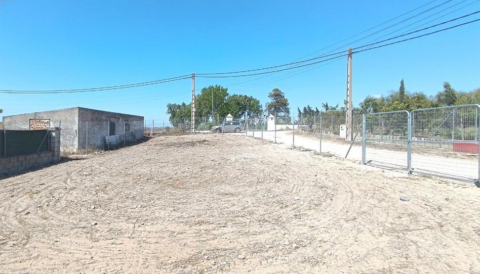 Constructible Land for sale in Lugar la Negra, 42, Cuatro Pinos - El Carmen, Cádiz - image 1 Photo 1 of Constructible Land for sale in Lugar la Negra, 42, Cuatro Pinos - El Carmen, Cádiz