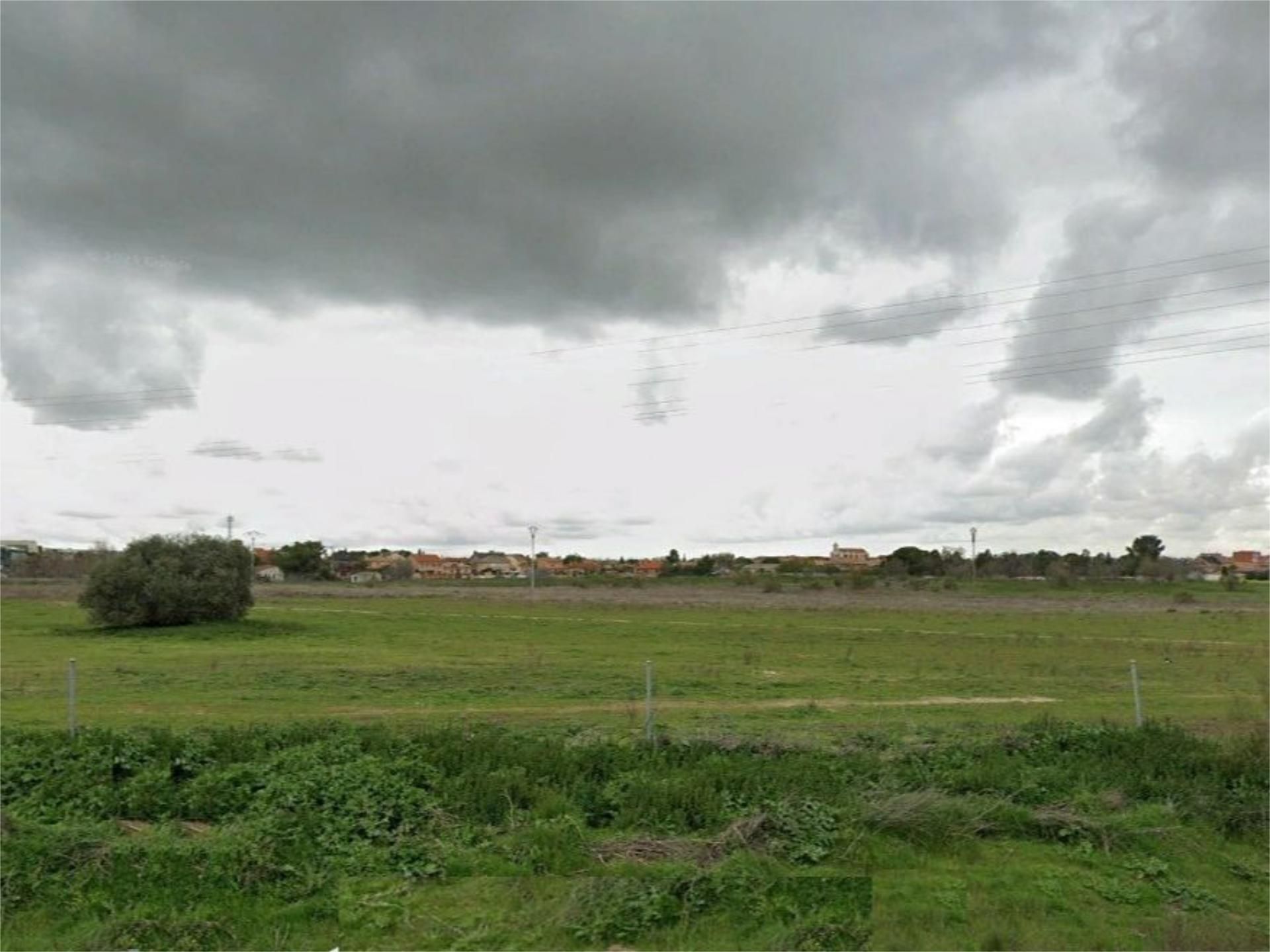 Constructible Land for sale in Griñón