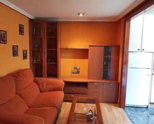 Living room of Flat to rent in Mieres (Asturias)
