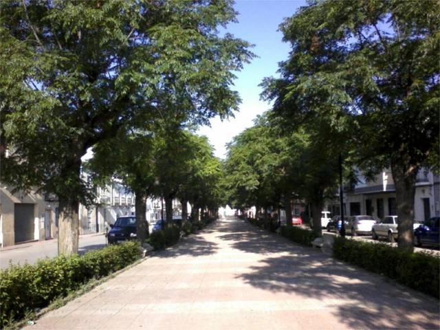 Casa adosada en Venta en Calle Federico Garcia Lorca, 18 en Torreblascopedro