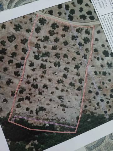 Terreno en Venta en Calle Rosendo Galán, 5 en Montánchez