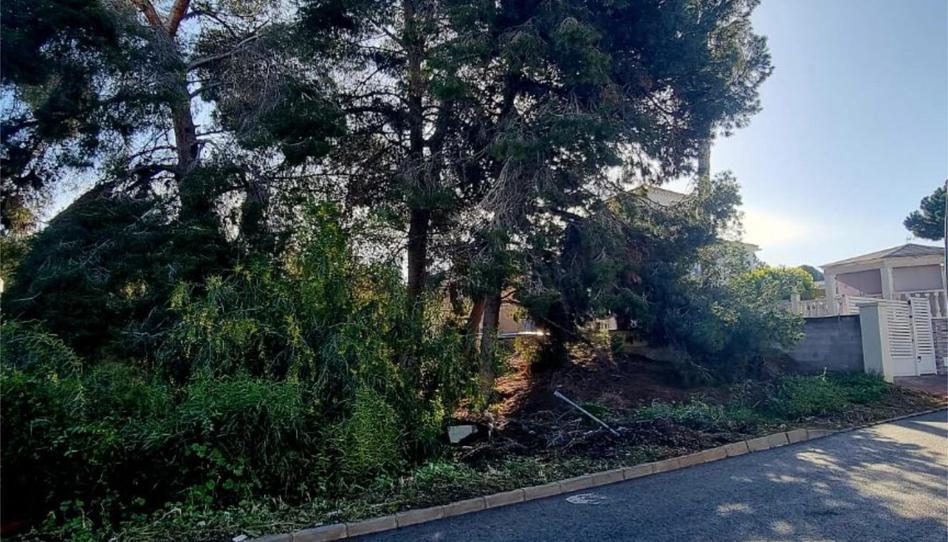 Photo 1 of Constructible Land for sale in Avenida de Torrevieja, 179a, Los Balcones - Los Altos, Alicante