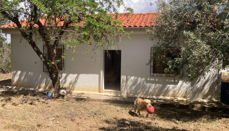 Finca rústica en venda a Calle Canales, 9, Güéjar Sierra, Granada - imatge 1 Foto 1 de Finca rústica en venda a Calle Canales, 9, Güéjar Sierra, Granada