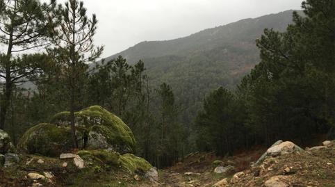 Foto 2 von Nicht bebaubares Gelände zum Verkauf in Strasse Cerrillo Vinculero, 9, La Adrada , Ávila