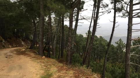 Foto 3 von Nicht bebaubares Gelände zum Verkauf in Strasse Cerrillo Vinculero, 9, La Adrada , Ávila