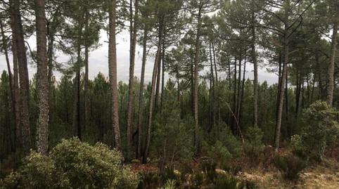 Foto 4 von Nicht bebaubares Gelände zum Verkauf in Strasse Cerrillo Vinculero, 9, La Adrada , Ávila