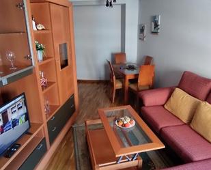 Sala d'estar de Pis de lloguer en Oviedo  amb Calefacció, Parquet i Moblat