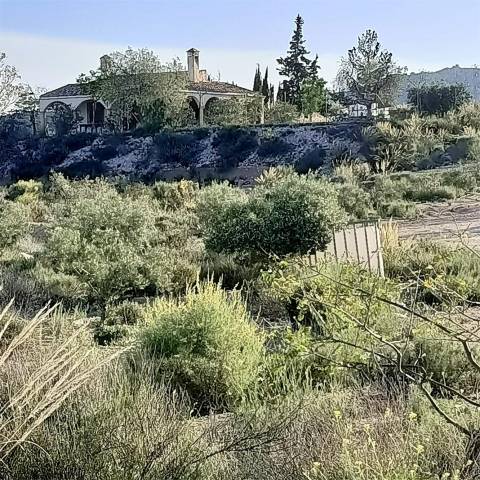 Piso en Venta en Calle Poligono C, 20 en Ulea