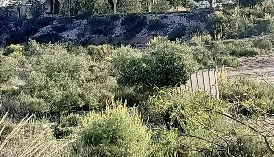 Flat for sale in Calle Poligono C, 20, Ulea, Murcia - image 1 Photo 1 of Flat for sale in Calle Poligono C, 20, Ulea, Murcia