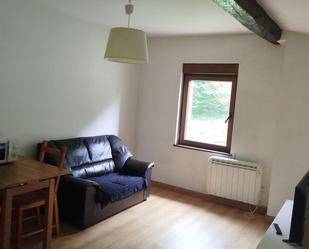 Living room of Flat to rent in Ataun  with Furnished, Oven and Washing machine