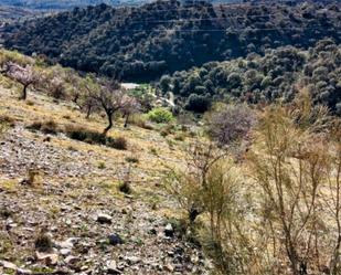 Country house for sale in Alcudia de Monteagud