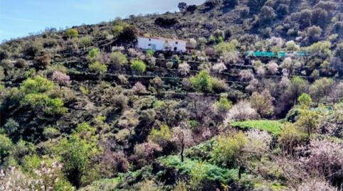 Finca rústica en venda a Carretera Chercos, 21, Alcudia de Monteagud, Almería - imatge 2 Foto 2 de Finca rústica en venda a Carretera Chercos, 21, Alcudia de Monteagud, Almería