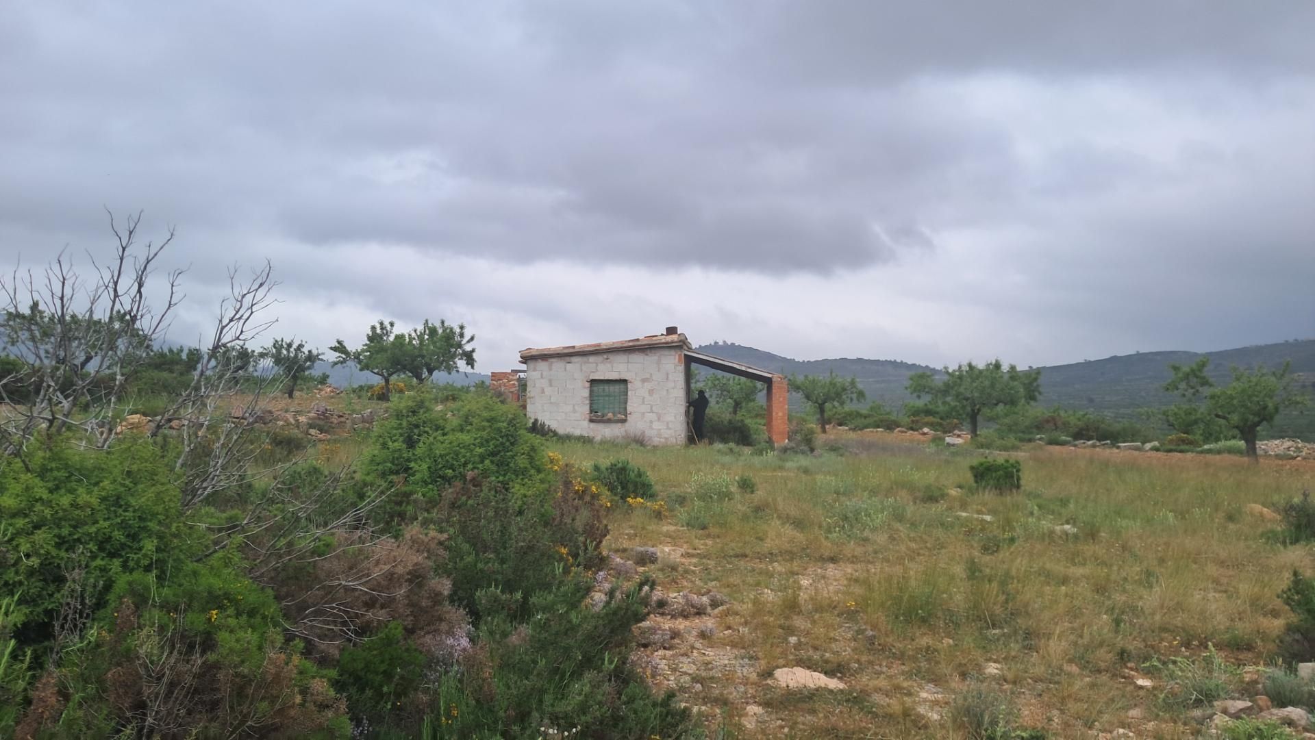 Land for sale in Alcublas