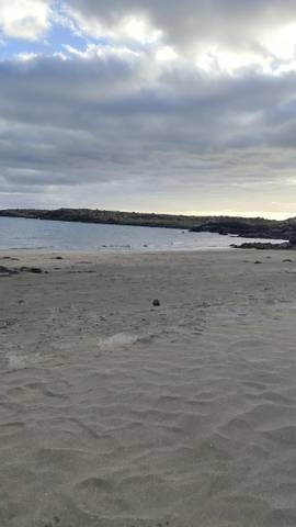 Finca rústica en Venta en Calle San Sebastian de la Gomera, 36 en El Fraile