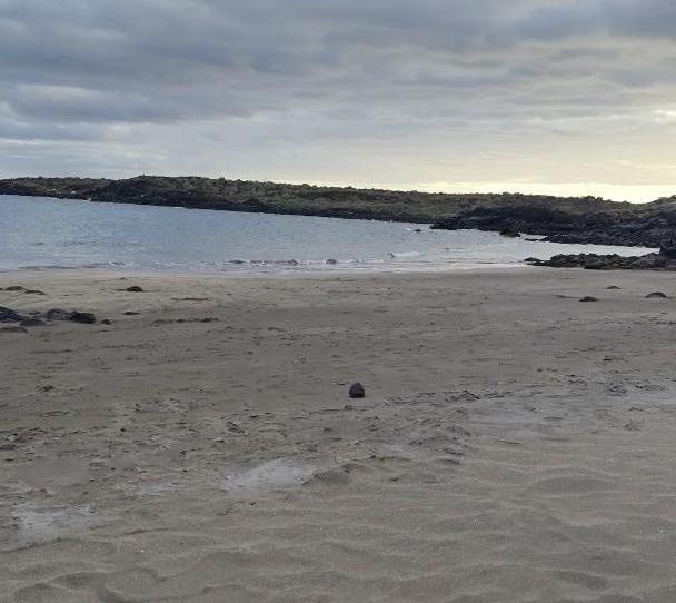 Foto 1 de Finca rústica en venda a Calle San Sebastian de la Gomera, 36, El Fraile, Santa Cruz de Tenerife