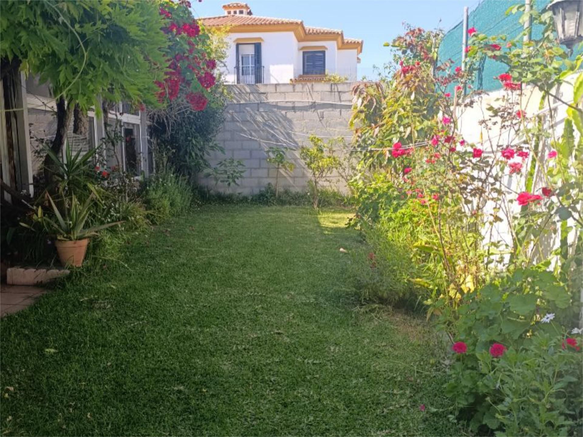 Garden of House or chalet for sale in Algeciras  with Private garden, Terrace and Swimming Pool