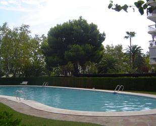 Swimming pool of Flat to rent in Benicasim / Benicàssim  with Terrace, Swimming Pool and Balcony