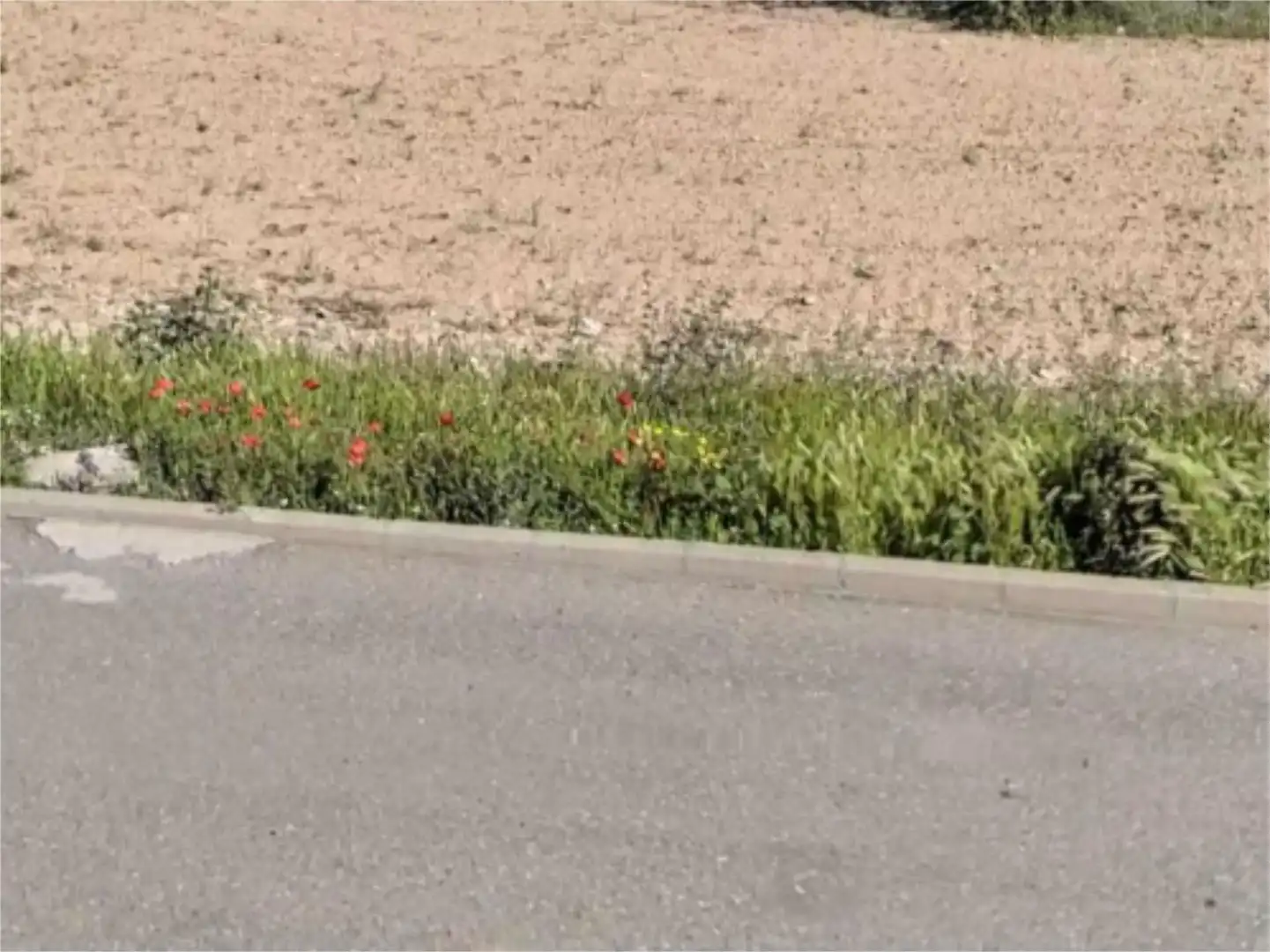 Bebaubares Gelände zum Verkauf in Ciruelos